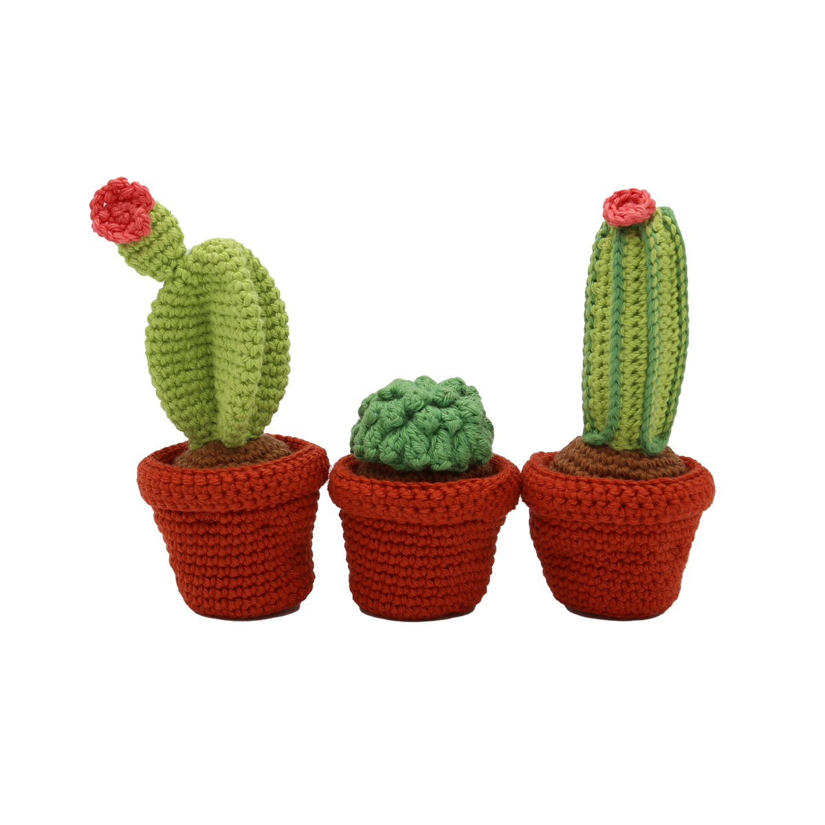 DIY Crochet Kit - Cacti