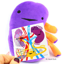 Load image into Gallery viewer, Kidney Plush - When Urine Love
