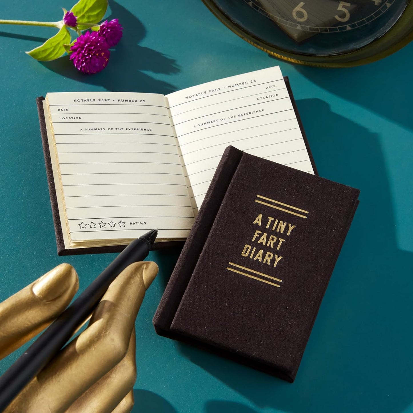Tiny Fart Diary       