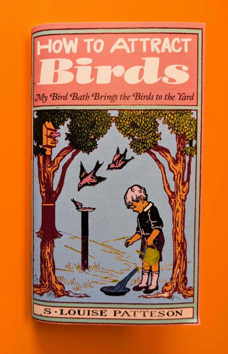 How to Attract Birds (Zine)