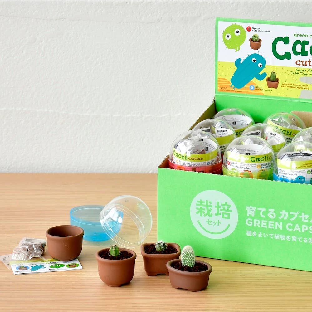 Green Capsule Cacti Cuties - Assorted 4 Styles