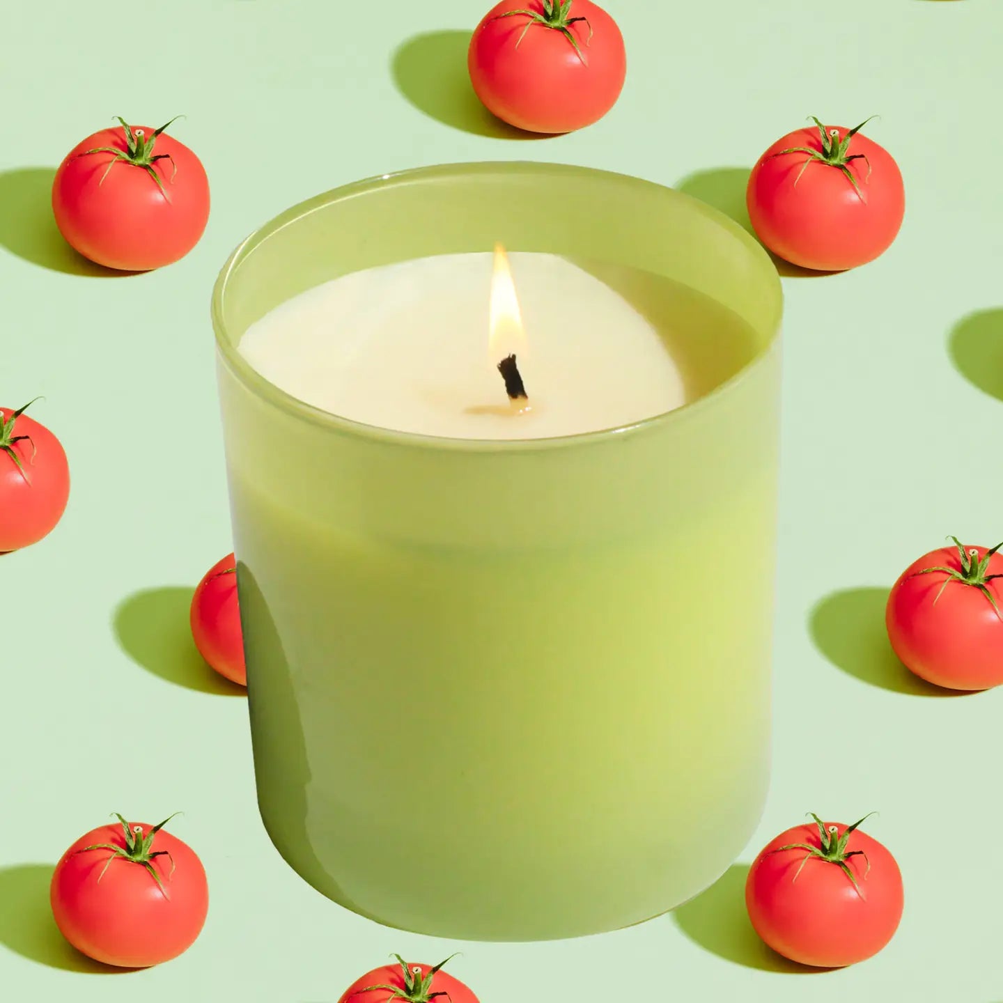 Garden 9 oz. Hue Candle (Tomato Vine)