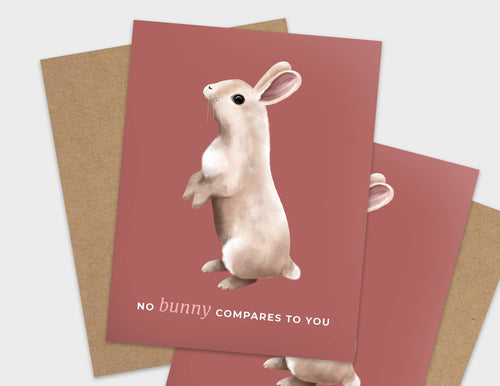 No Bunny Compares to You Pun Appreciation Card - Front & Company: Gift Store