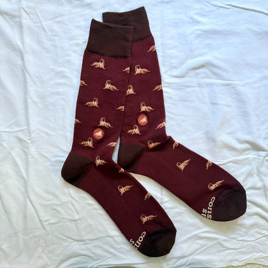 Socks that Protect Walruses
