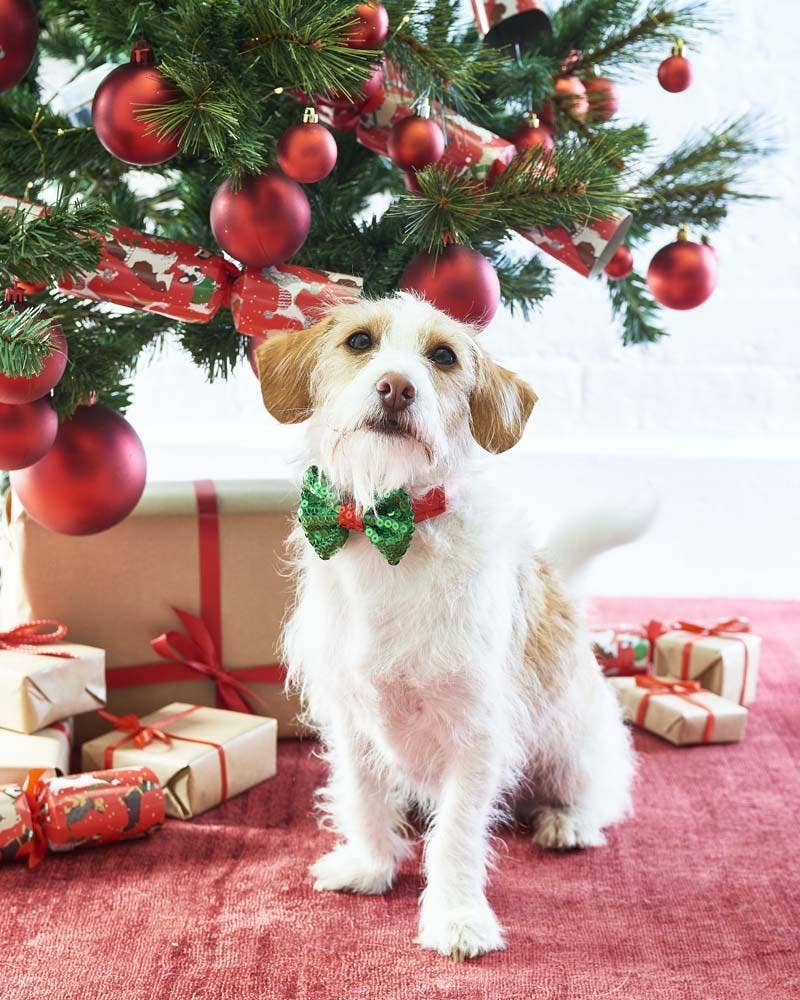 Christmas Dog Bow Tie | Dog Clothing Accessory |