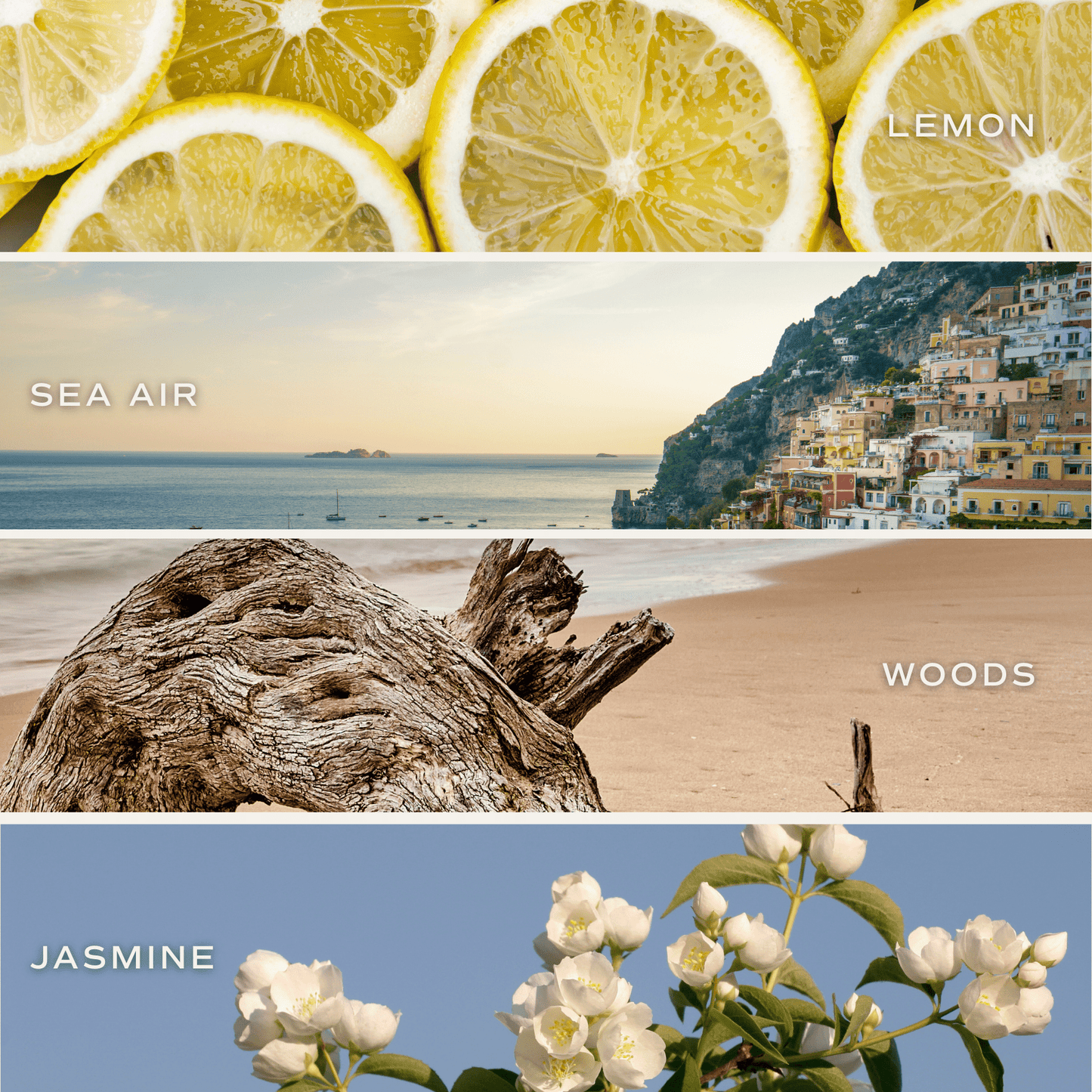 *NEW* Coastal Lemon 9 oz Soy Candle - Home Decor & Gifts