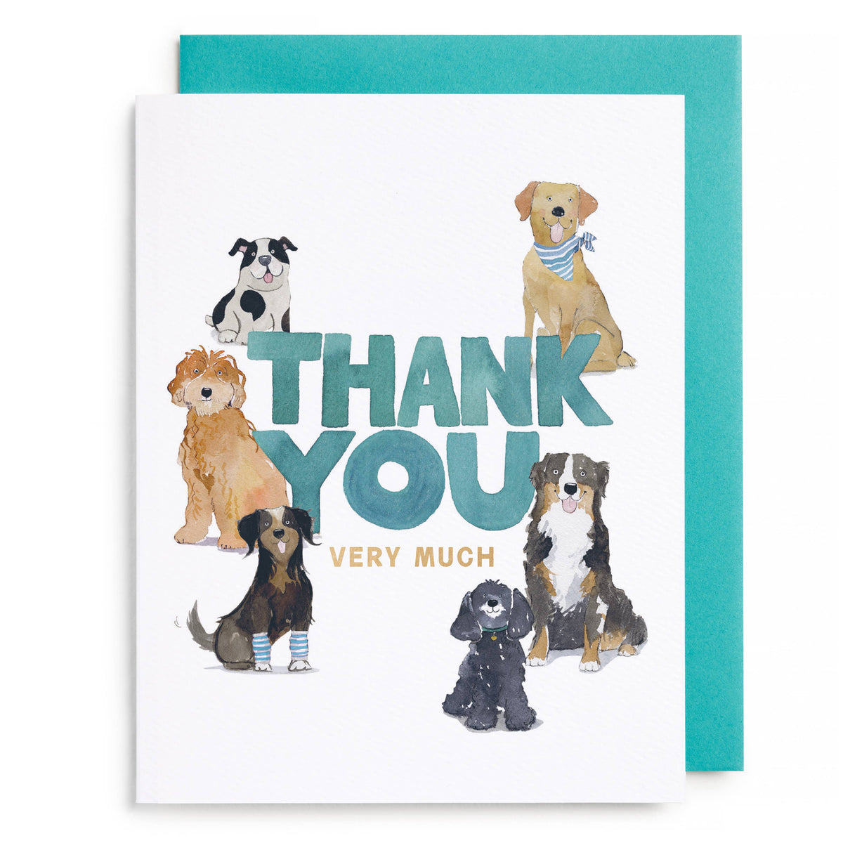 Doggy Thank You Boxed Card Set, Set of 6