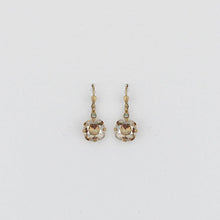 Load image into Gallery viewer, La Vie Classic Earring
