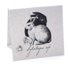 Load image into Gallery viewer, Rabbit Earrings - sterling silver Natural History
