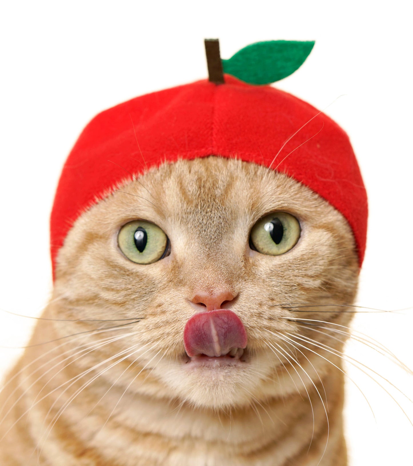 Kitan Club Cat Cap Blind Box - Fruit