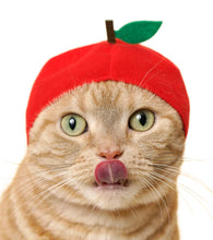 Load image into Gallery viewer, Kitan Club Cat Cap Blind Box - Fruit
