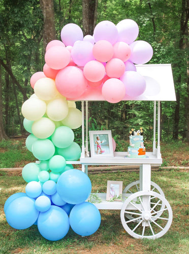 Premium Pastel Rainbow Balloon Arch Kit - Balloon Garland - Front & Company: Gift Store