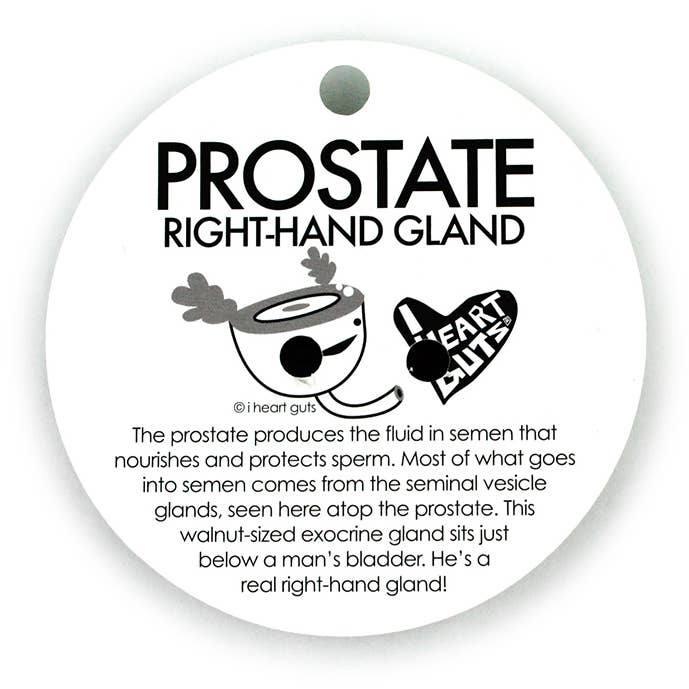 Prostate Lapel Pin - A Seminal Work