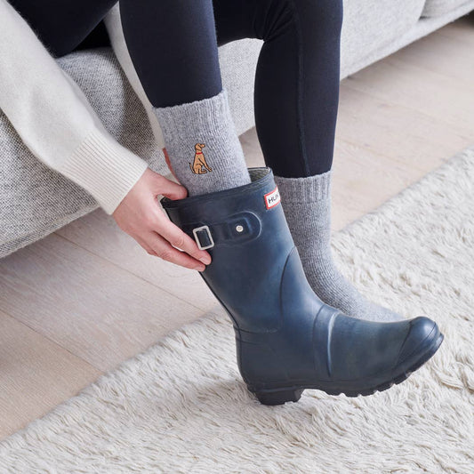 Dog Walking Socks - Vizsla