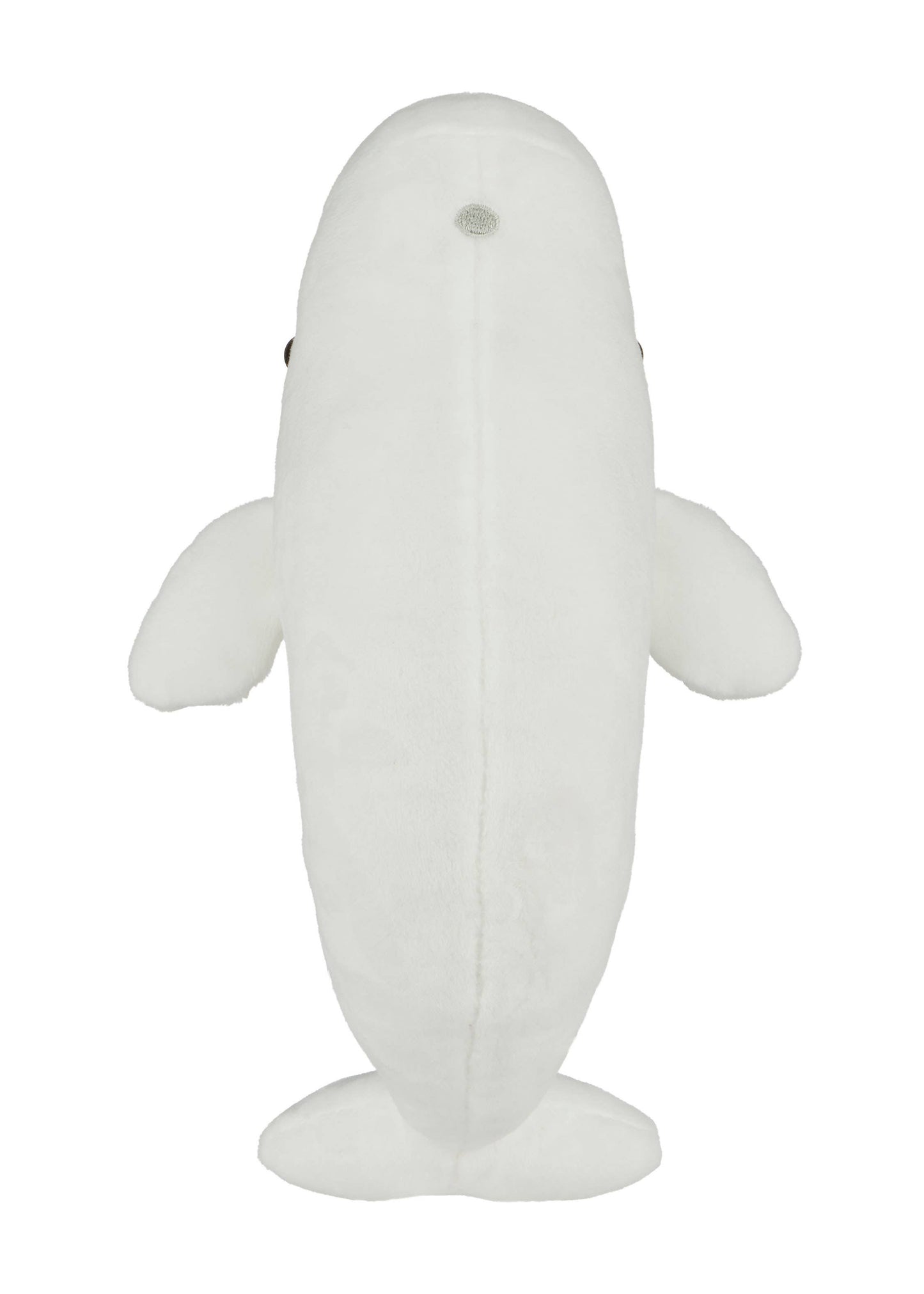 Beluga Whale