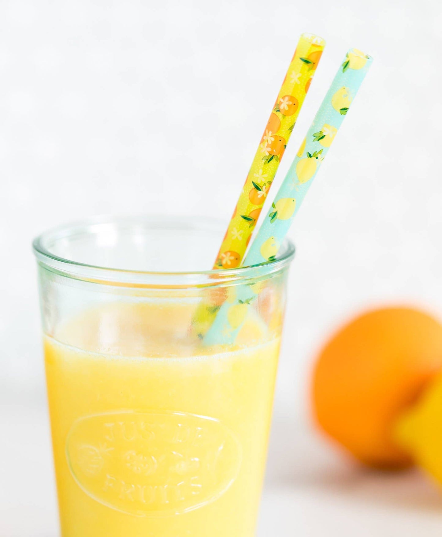 PLSS160 - Fruit Basket Reusable Straws