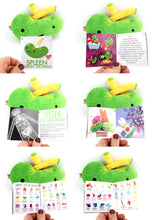 Load image into Gallery viewer, Spleen Plush - Lymphin&#39; the Dream
