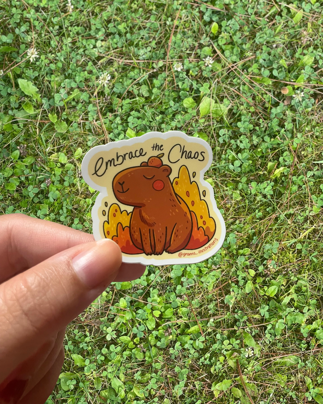 Embrace the chaos sticker