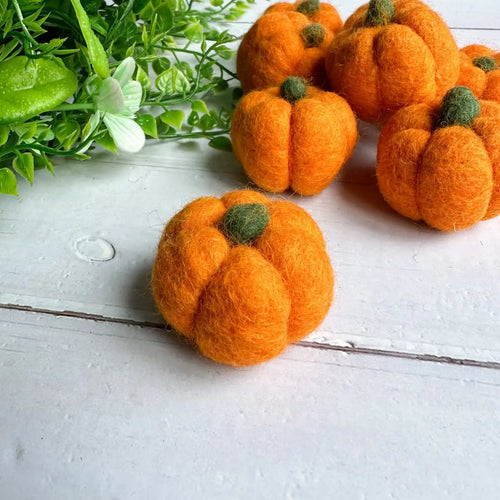 One Orange Felt Mini Pumpkin - Front & Company: Gift Store