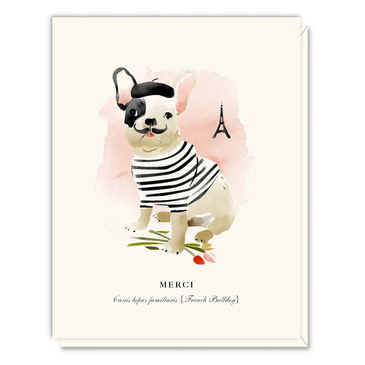 Merci Frenchie Card Box Of 8