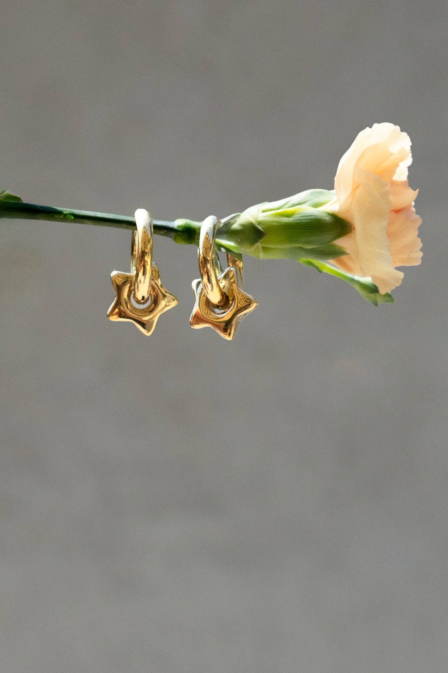 Estrella Hoops - 18K Gold Plated or Stainless Steel