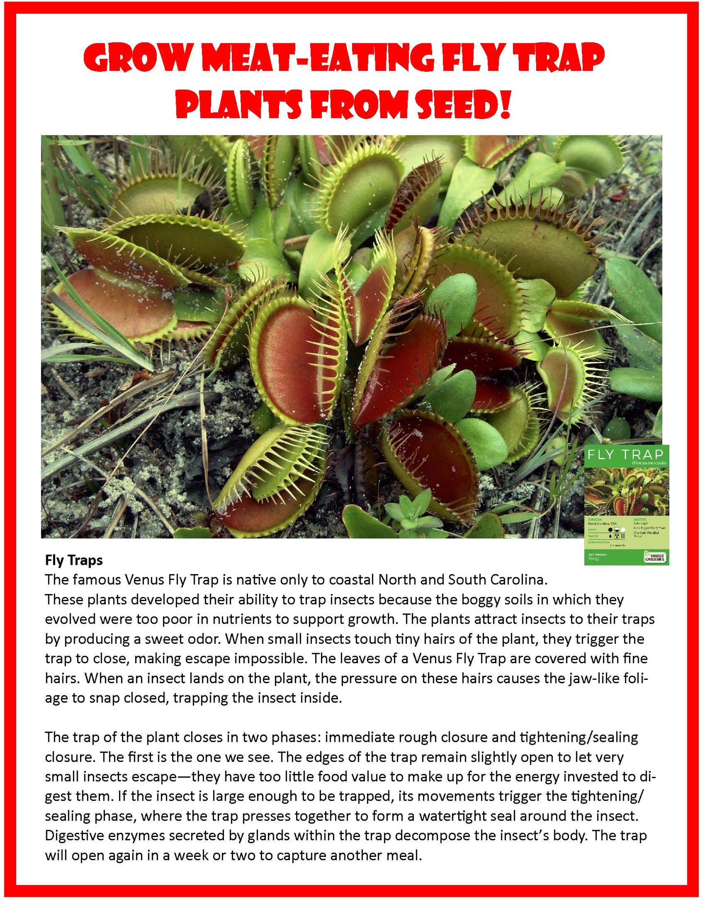Fascinating Flytraps Seed Square Terrarium