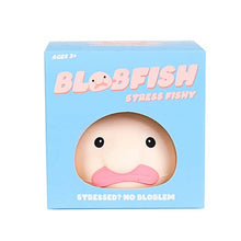 Load image into Gallery viewer, Blob Fish Stress Toy
