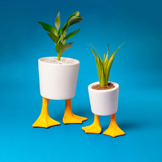Duck Feet Planter