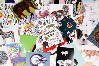 Animal postcard, asst styles