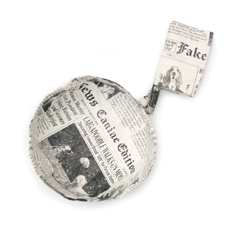 Fake News Water Bowl - Front & Company: Gift Store