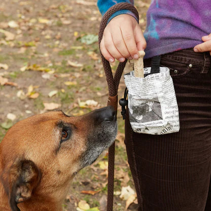 Fake News Treat Bag