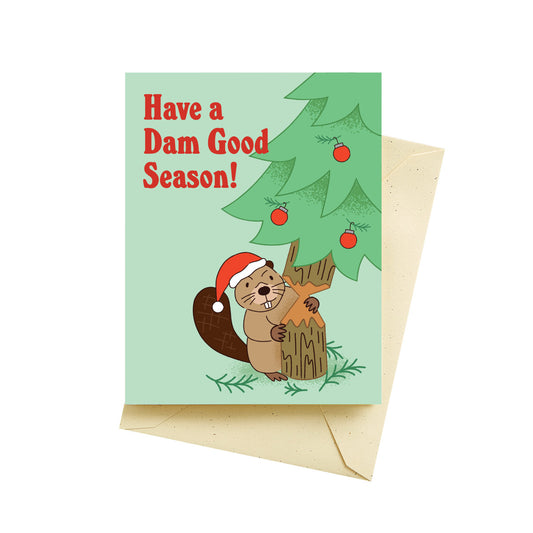 Dam Beaver Holiday
