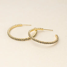 Load image into Gallery viewer, Sparkle &amp; Shine Sm Rhinestone Hoop Earring - Greige/Gold
