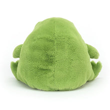 Load image into Gallery viewer, Jellycat Ricky Rain Frog - Medium/Small
