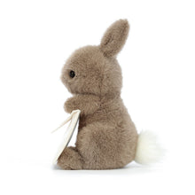 Load image into Gallery viewer, Jellycat Messenger Bunny
