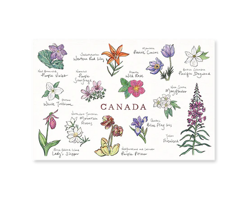 Canadian Floral Emblems Postcard | default - Front & Company: Gift Store