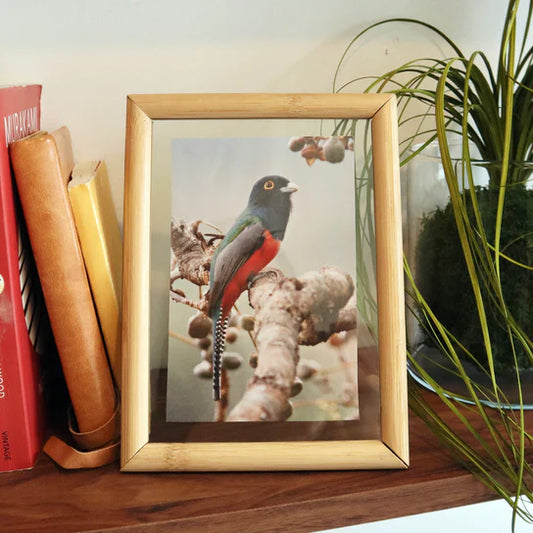 Large Floating Frame