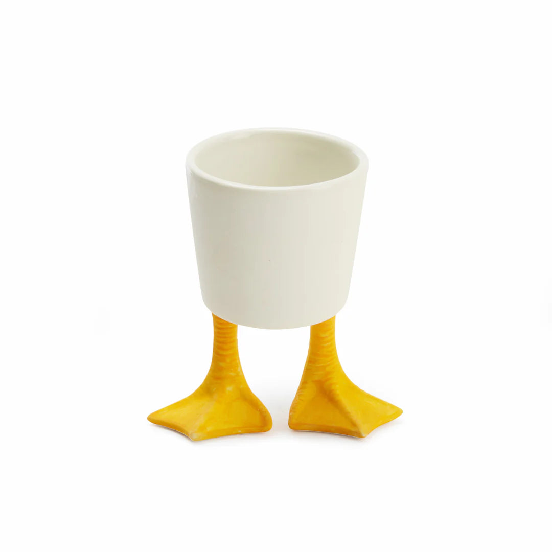 Duck Feet Planter