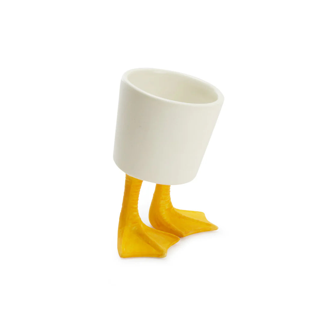 Duck Feet Planter