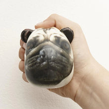Load image into Gallery viewer, Feeling Ruff? Stress Balls
