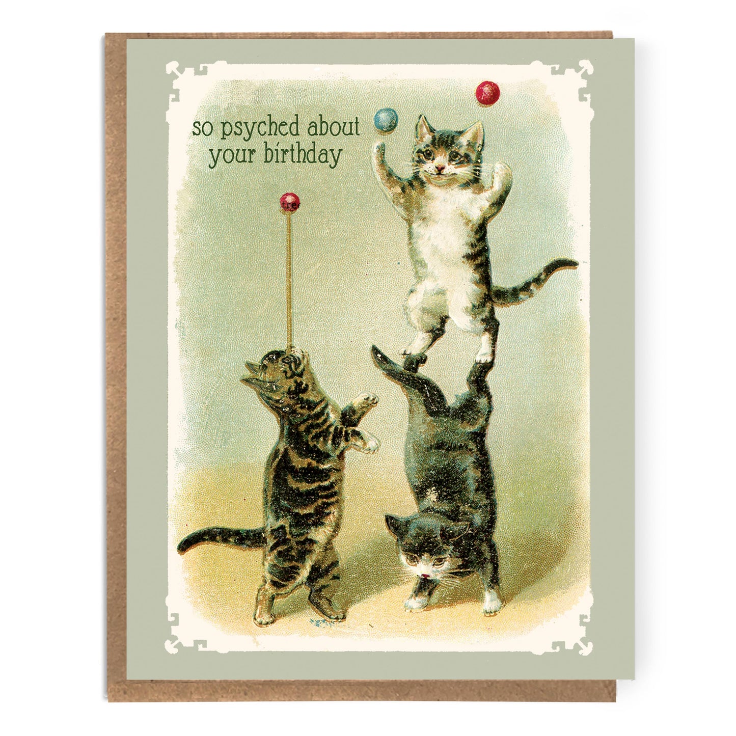 So Psyched About Your Birthday; Funny Cute Vintage Cats