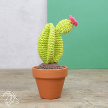 Load image into Gallery viewer, DIY Crochet Kit - Cacti
