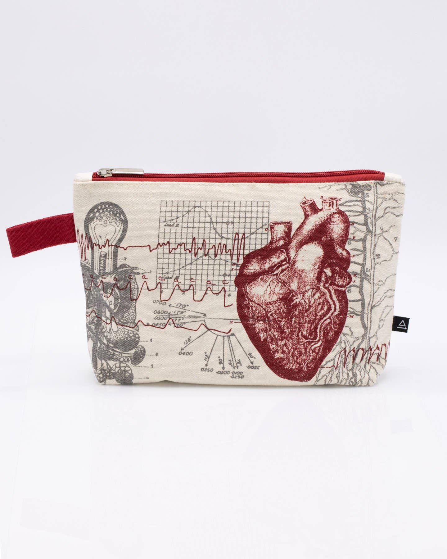 Anatomical Heart Pencil  Case