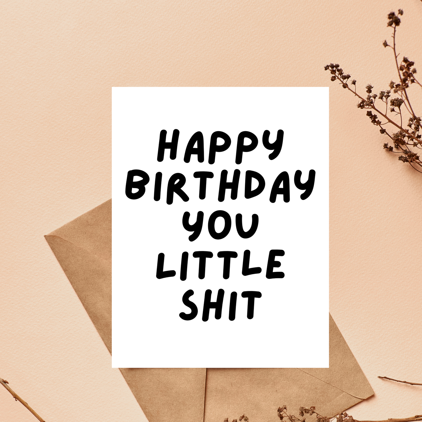 Rude Birthday Card for Best Friend
