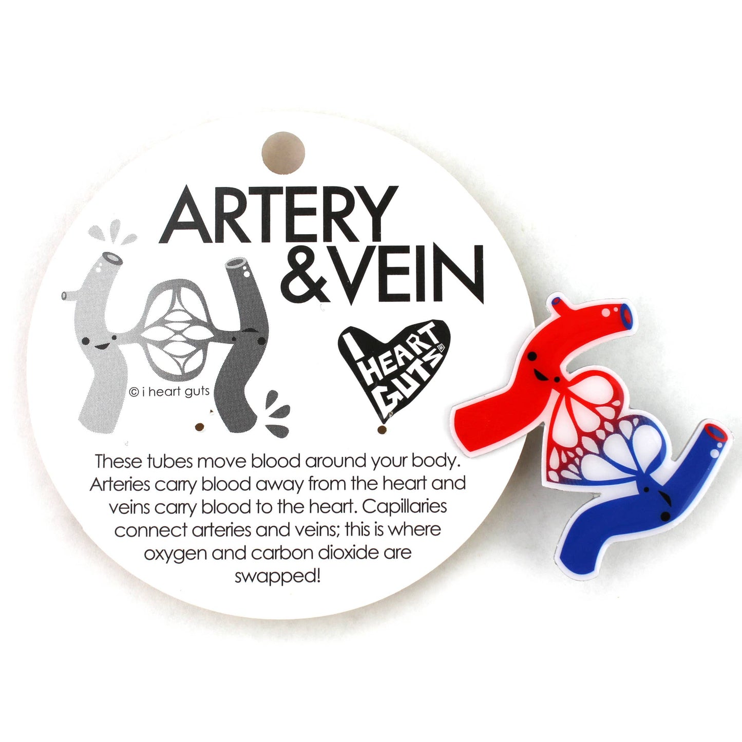 Artery & Vein Lapel Pin - Life's Bloody Great