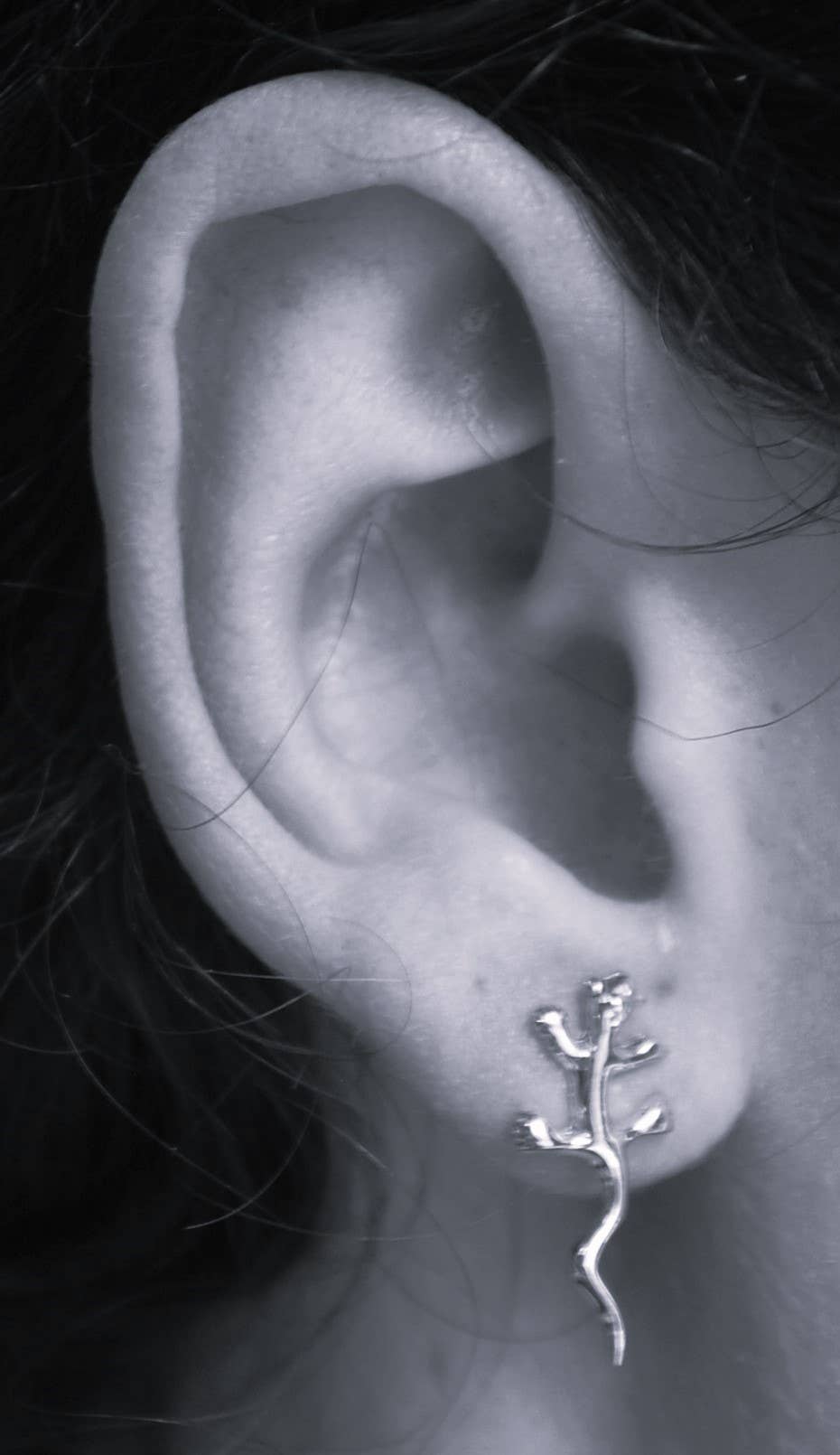 Iguana Studs sterling silver Natural History