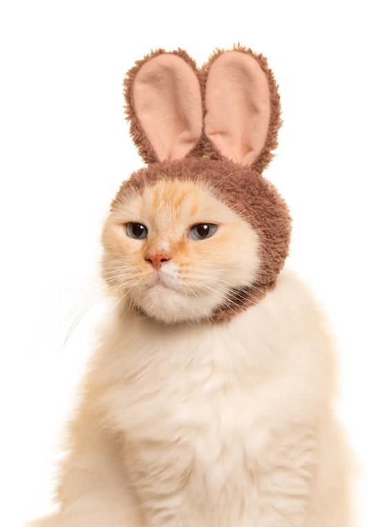 Kitan Club Cat Cap Blind Box - Rabbit