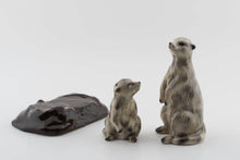 Load image into Gallery viewer, Meerkat Salt &amp; Pepper Shaker
