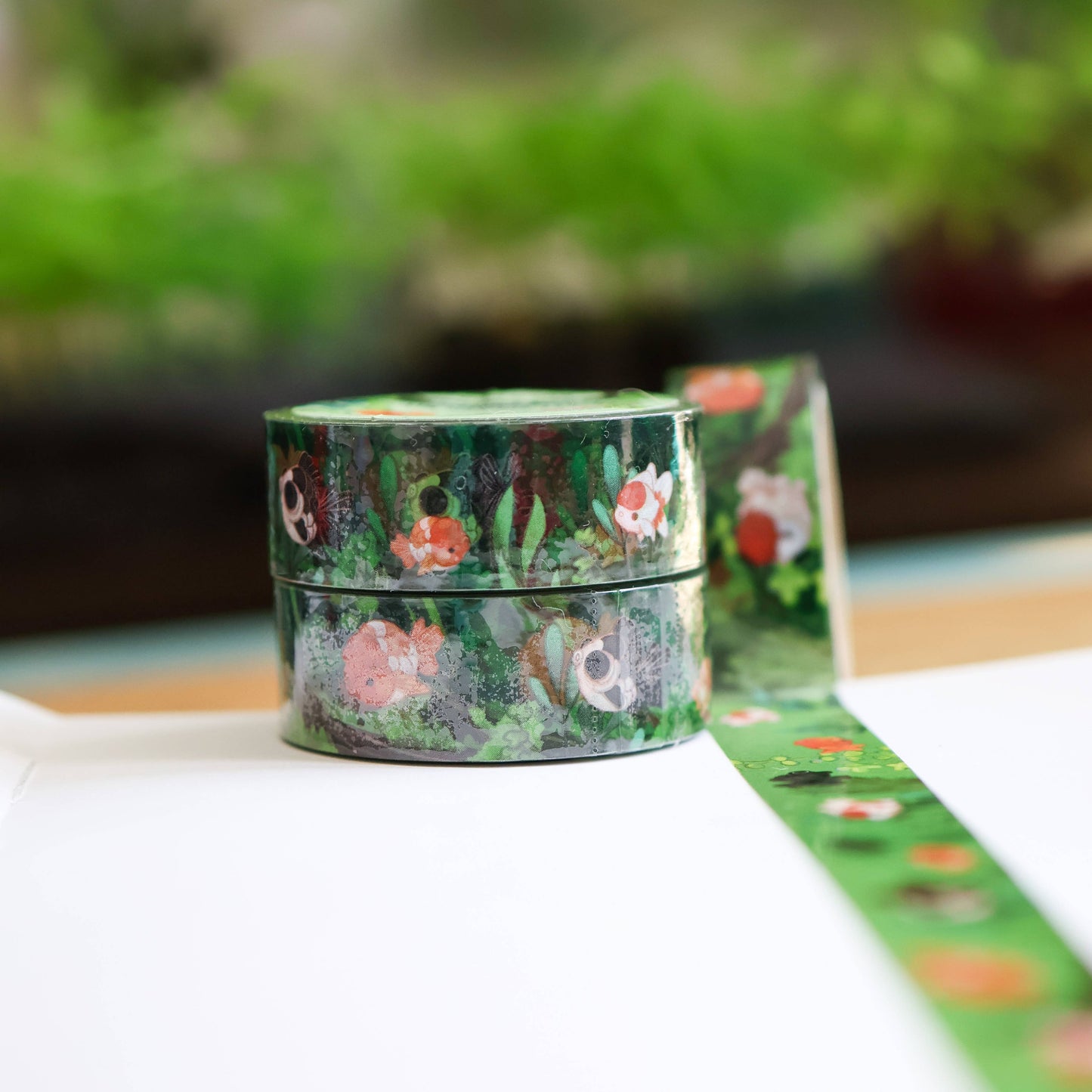 PET Tape (Transparent) First Splash Kit - Goldfish