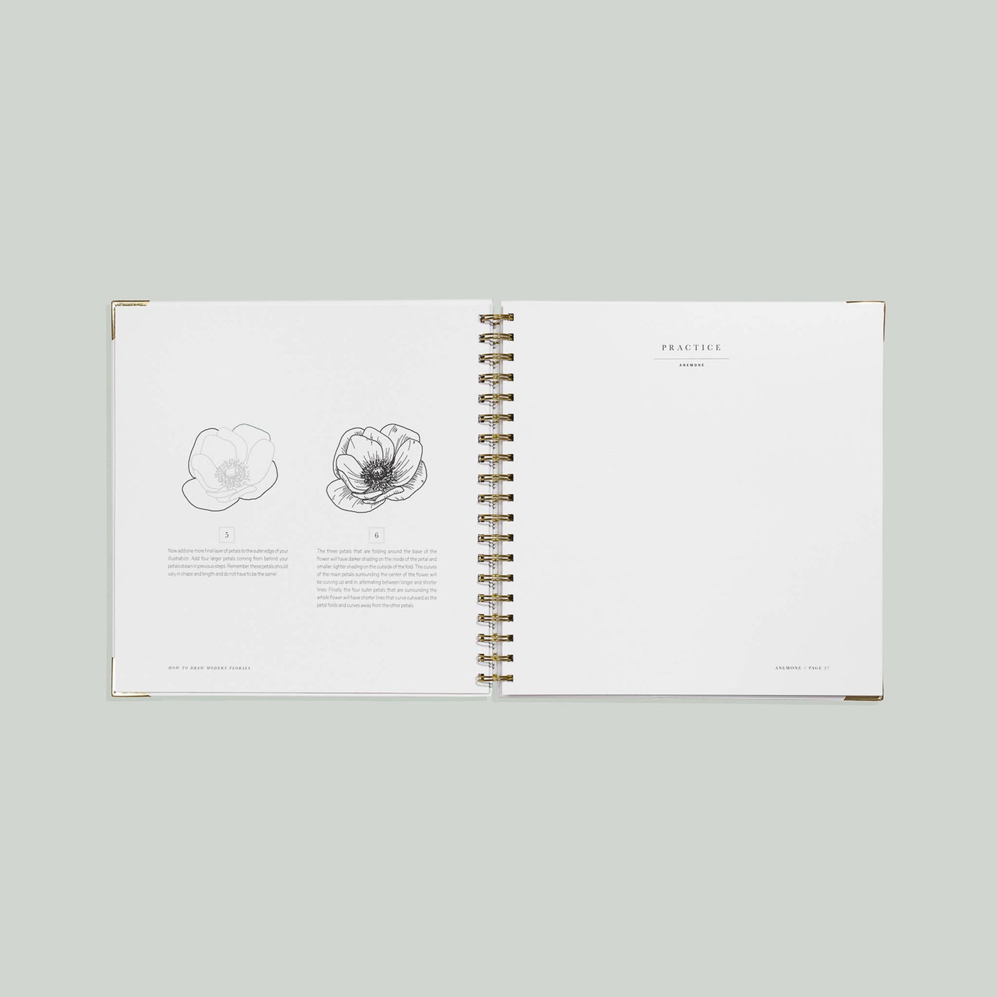 How to Draw Modern Florals: Spiral